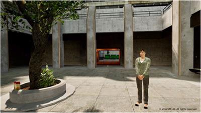 VStore: Feasibility and acceptability of a novel virtual reality functional cognition task